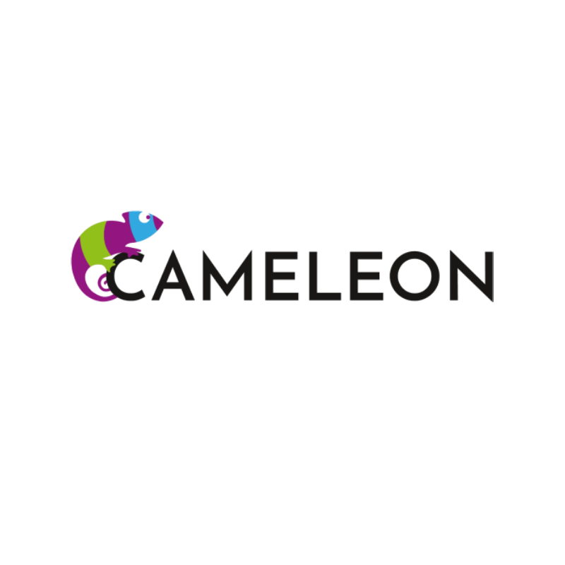 Cameleon und ITC Germany – Partner für digitale Transformation