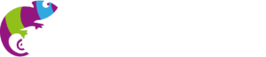 Cameleon und ITC Germany – Partner für digitale Transformation